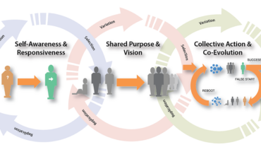 Dual Inheritance Theory: Bridging Cultural and Biological Evolution in Human Development