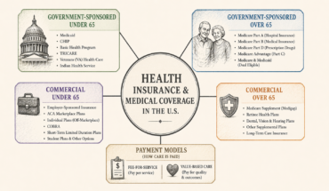 Diagram-style editorial image showing the main categories of health insurance in the United States, divided into government-sponsored and commercial coverage for under-65 and over-65 populations, with fee-for-service and value-based care shown as underlying payment models.